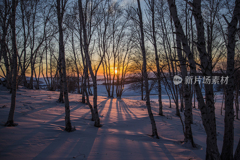 冬天的风景