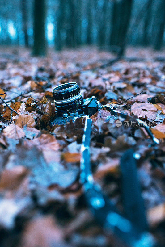 落在地上的老式相机与棕色的树叶。低角度的观点。