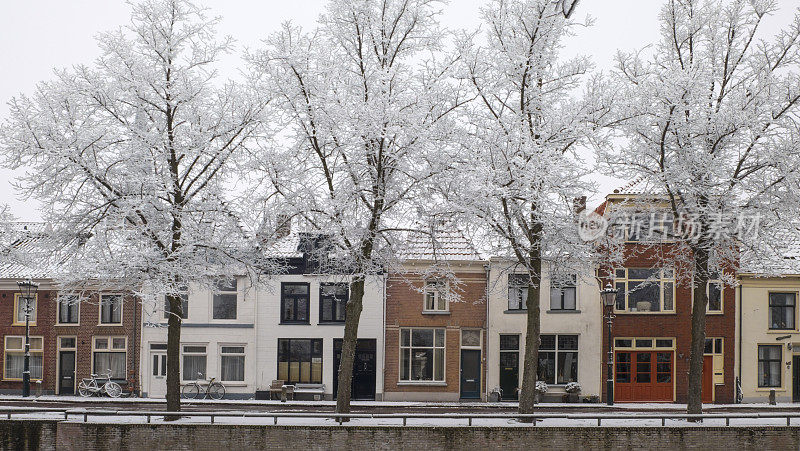 典型的荷兰房屋位于坎彭市，前景中有霜冻覆盖的树木