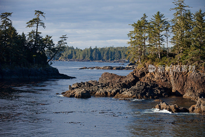 沿着野生太平洋小径的海景，Ucluelet