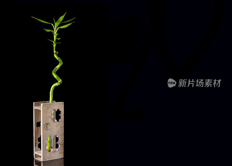黑色背景木瓶竹干生态概念形象