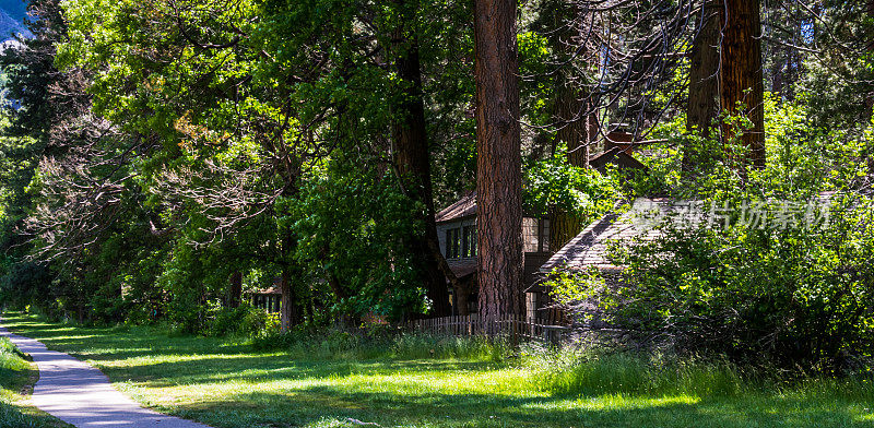 舒适的木质森林房子。加州约塞米蒂山谷