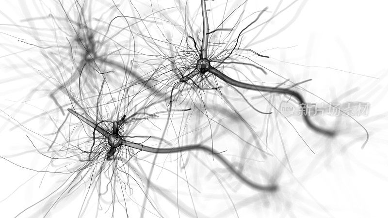 神经元细胞网络呈白色