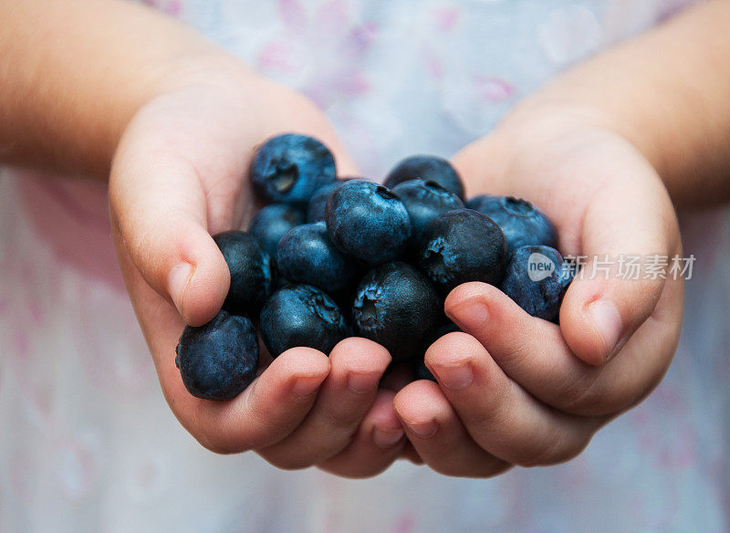 孩子们的手拿着蓝莓