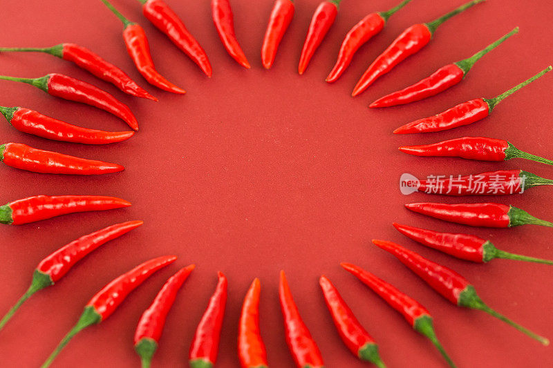 红辣椒，流行的香料概念-装饰圈由美丽的红辣椒豆荚在红色的背景，中间是自由的文字空间，俯视图，平铺