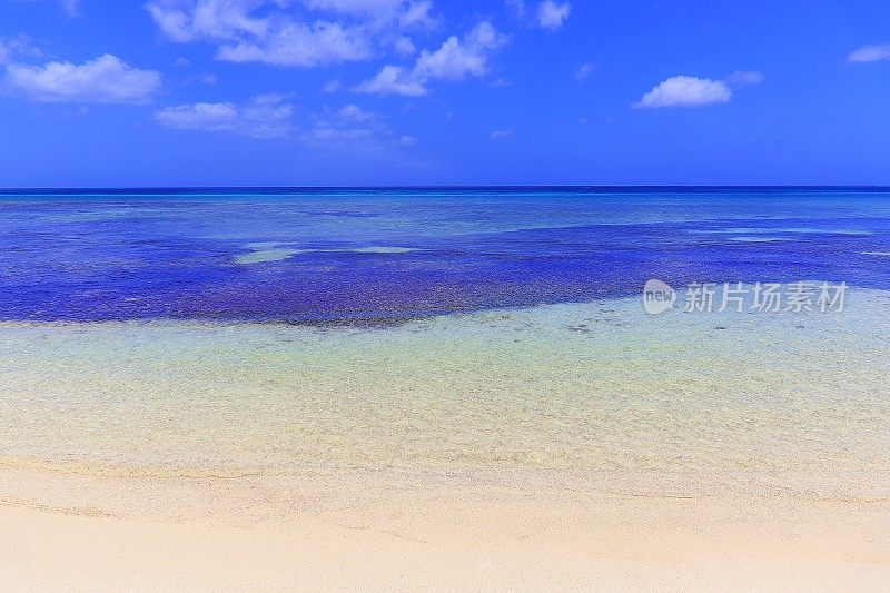 沉思:绿松石自然泳池，热带海滩-阿鲁巴，加勒比海