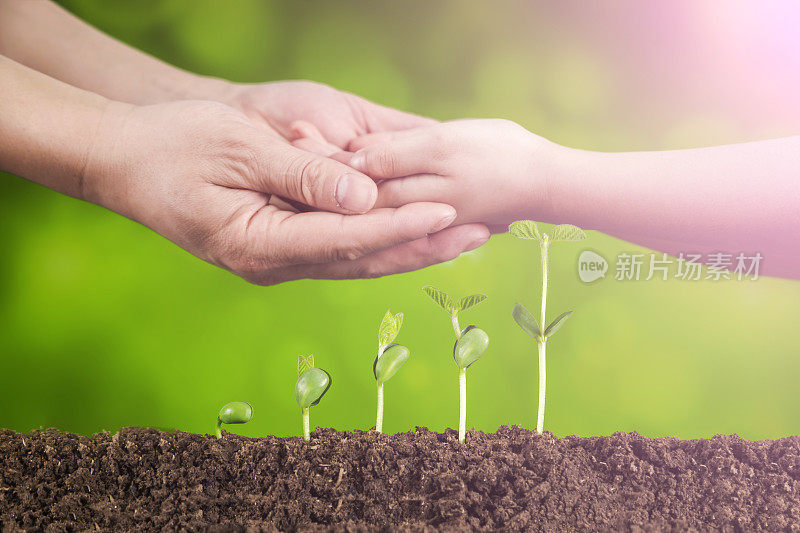 关怀理念:种植前父亲牵女儿的手