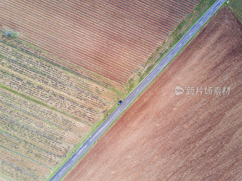 法国普罗旺斯迷人的薰衣草田风景。