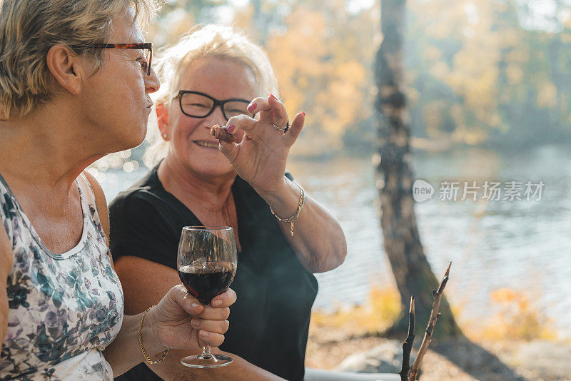 两个老年妇女在野餐