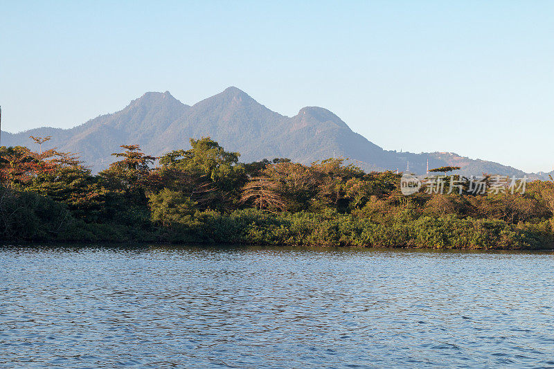 来自里约热内卢里约热内卢Tijuca的Marapendi泻湖