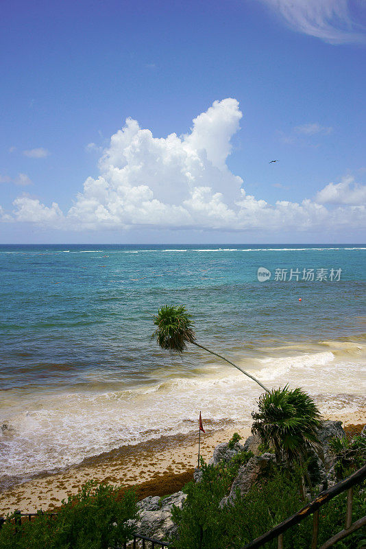 海滩在图卢姆