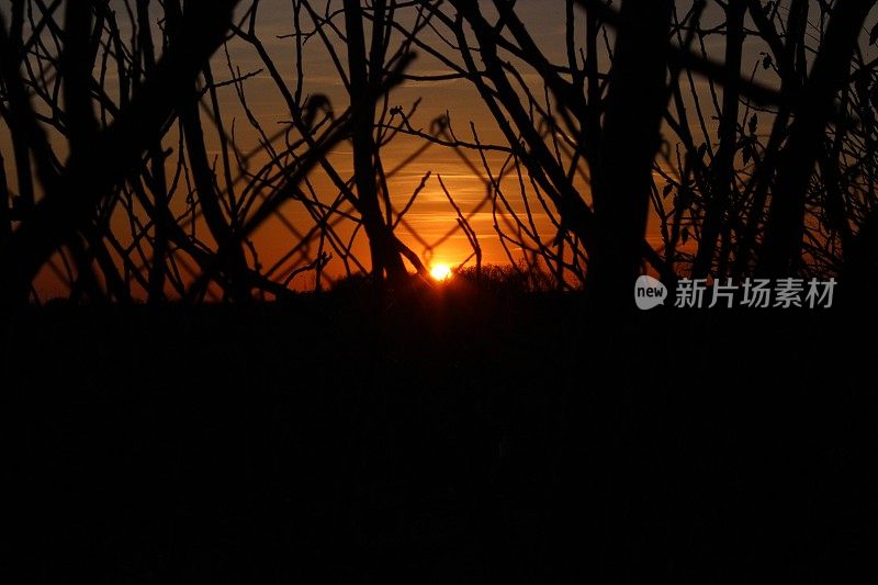 夕阳西下，树木倒映在湖面上