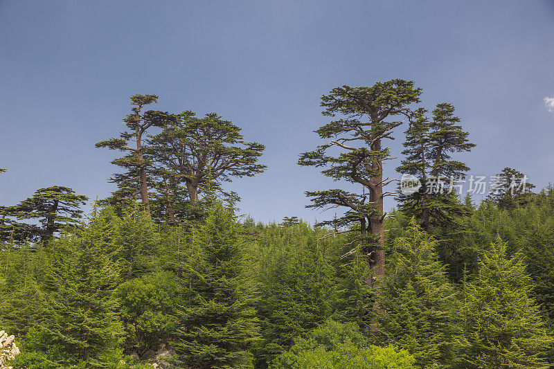 土耳其安塔利亚的黄昏山景