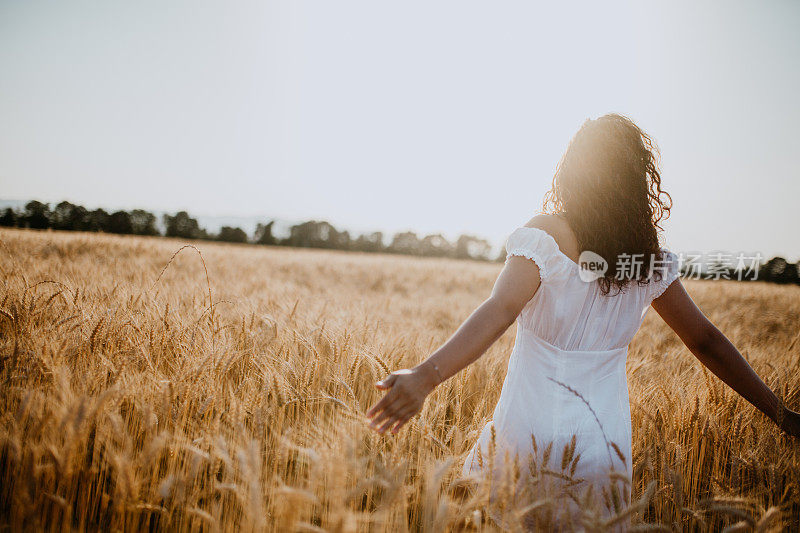 年轻漂亮的女人走在玉米地里，欣赏夕阳