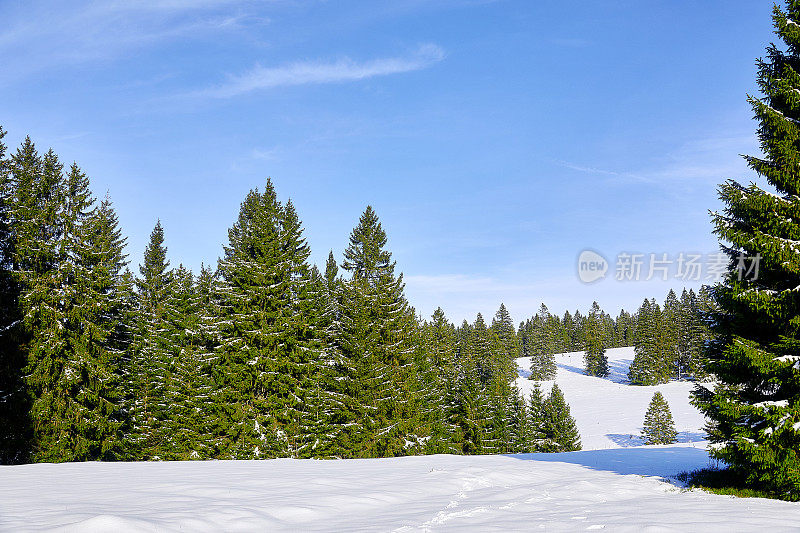 冬天的风景在厚厚的积雪中