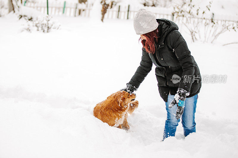 一个女人在雪中和狗玩