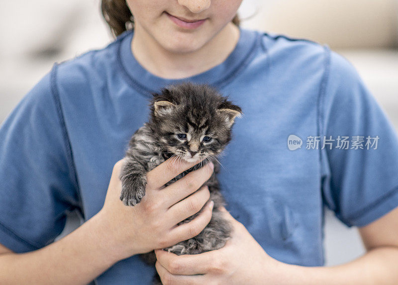 小女孩和她的小猫们。