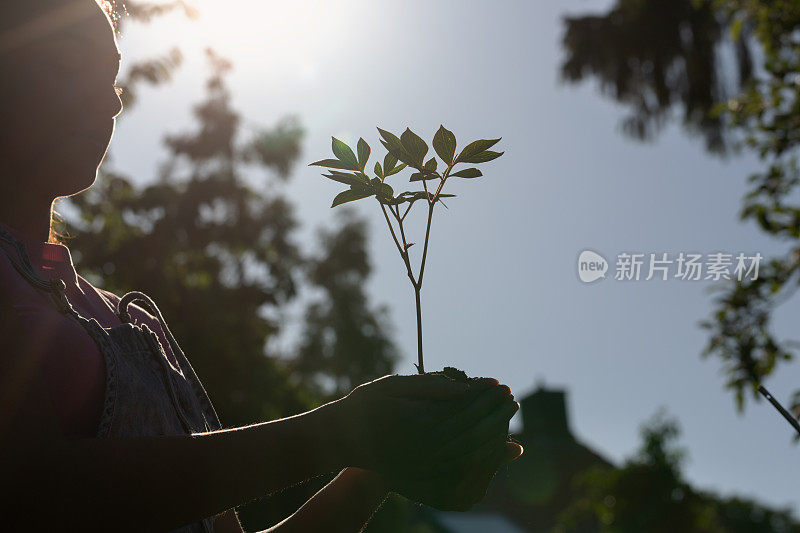 女人手里拿着一株植物