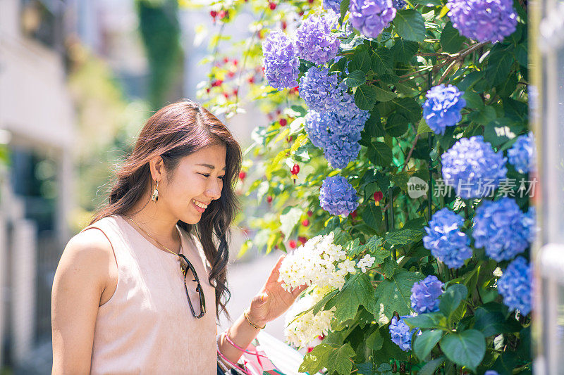 年轻女子在街上看绣球花