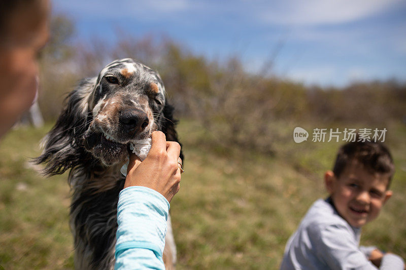 一只狗在吃三明治，一个男孩在看他