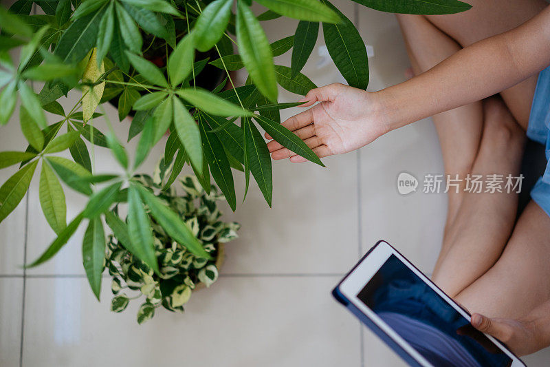 年轻的亚洲女人照顾她的植物遵循指导网上