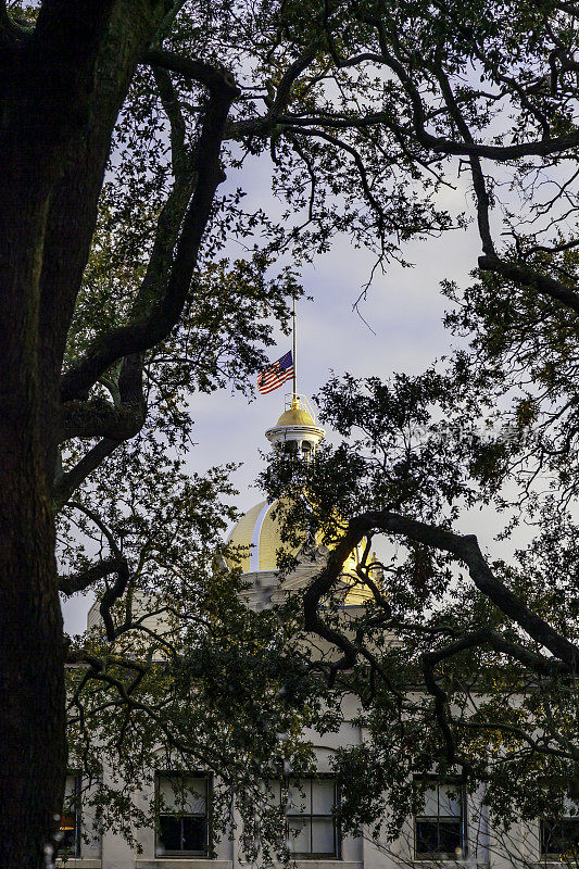 在晴朗的早晨天空下，透过古老的南方橡树，可以看到萨凡纳佐治亚州市政厅的金色圆顶，美国国旗降半旗