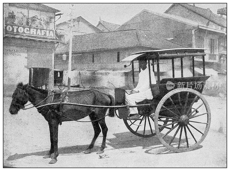 古董黑白照片:马车，马尼拉，菲律宾