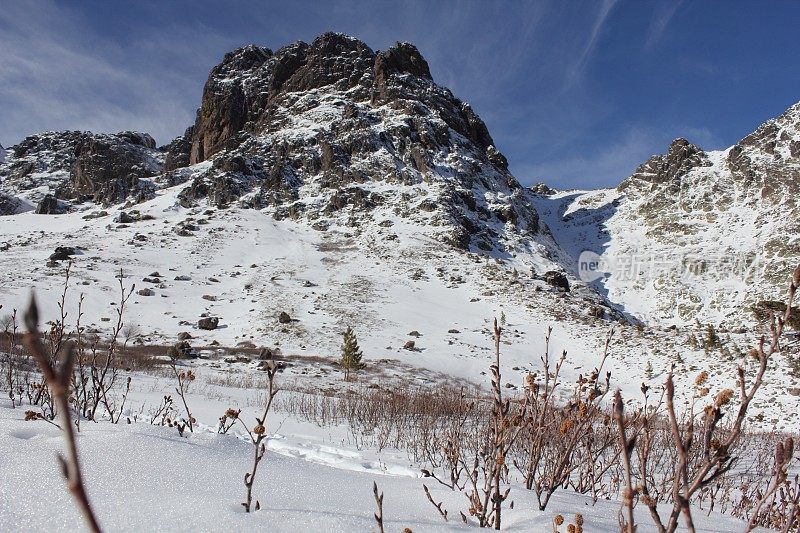 科西嘉阿斯库山谷的冬季场景