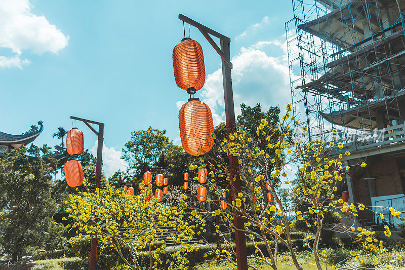 越南林东省宝禄市八芽塔的美丽景色。