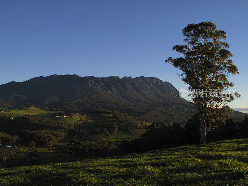 塔斯马尼亚山景观风景罗兰山牧场