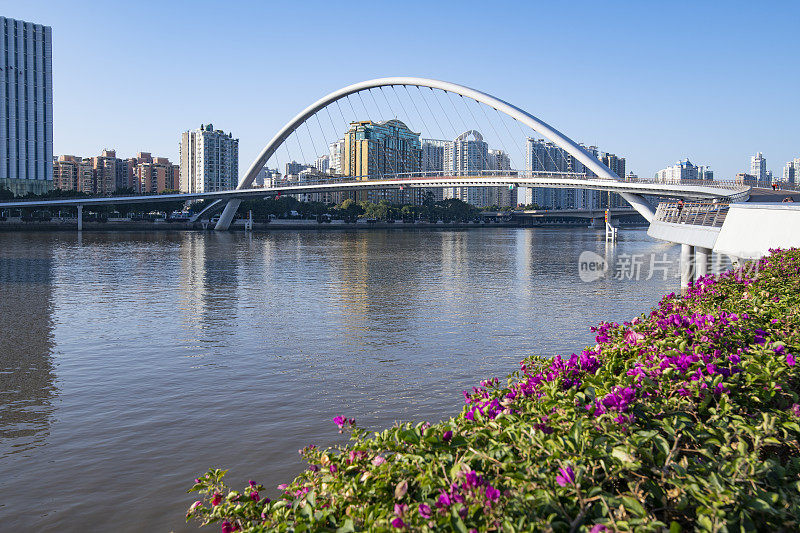 海信大桥是广州的城市地标