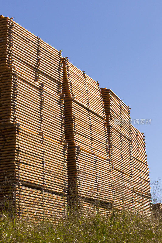 木材堆。木材行业。