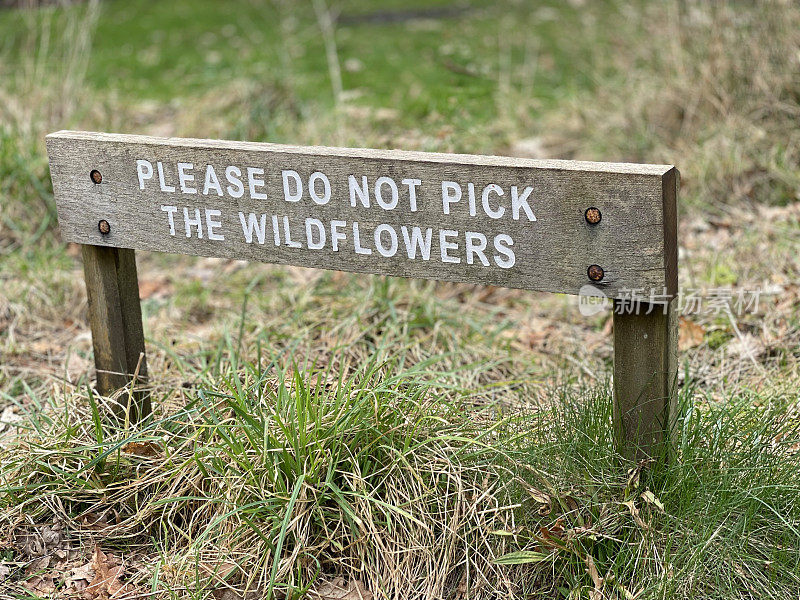 请不要摘野花的牌子