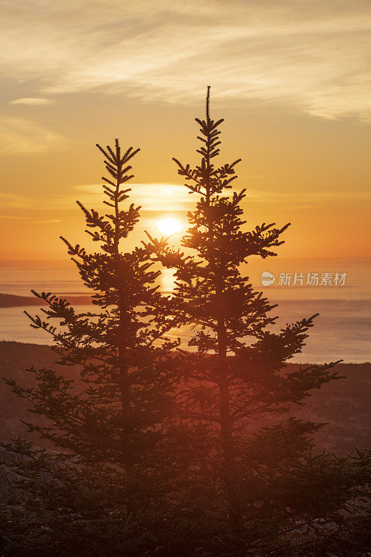 凯迪拉克山顶的日出