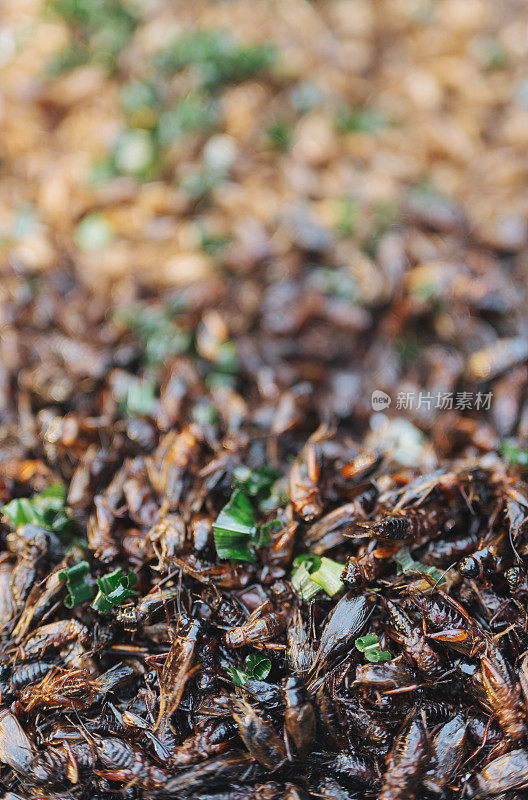 异国街头小吃油炸昆虫蚱蜢蝎子毛毛虫在泰国曼谷