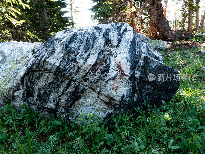 大型条纹片麻岩巨石