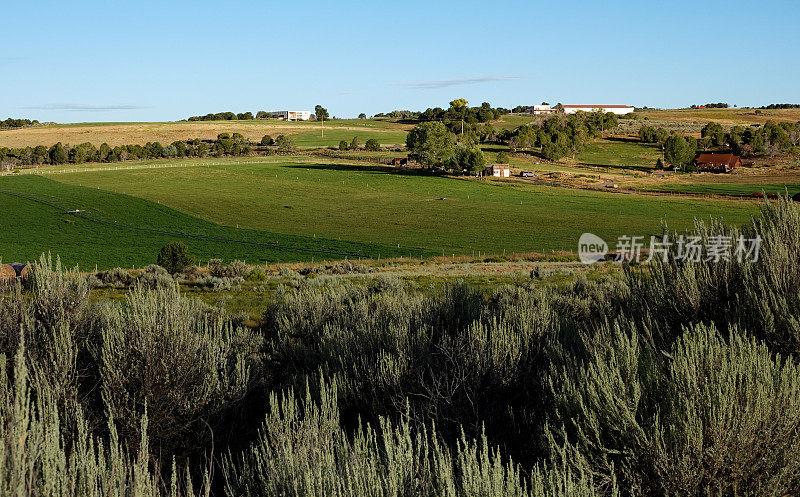 山坡上的牧场和干草地。