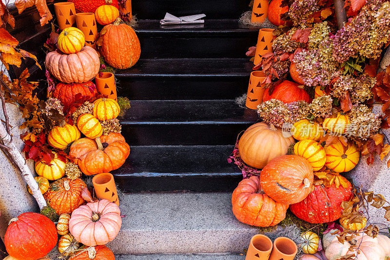 秋天庆祝南瓜、葫芦和植物在建筑门廊的台阶上-马萨诸塞州波士顿