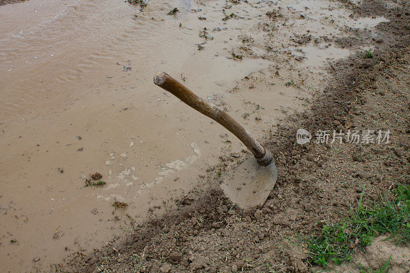 在泥里用木柄锄头