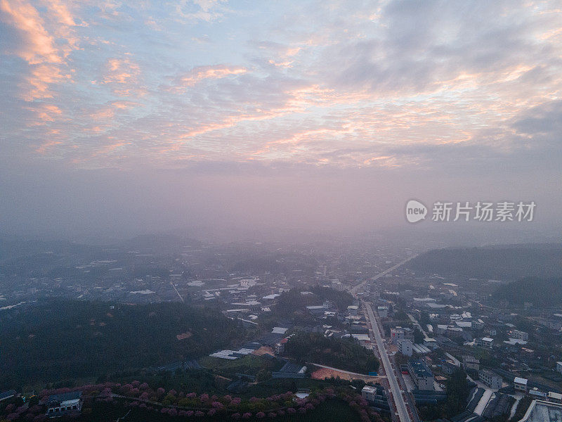 樱花茶山鸟瞰图