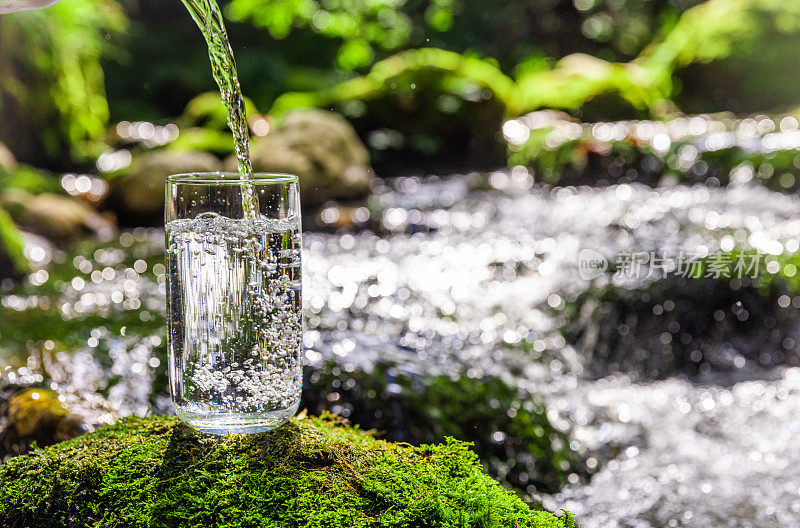 在热带雨林的岩石上，干净的水倒在饮水杯中