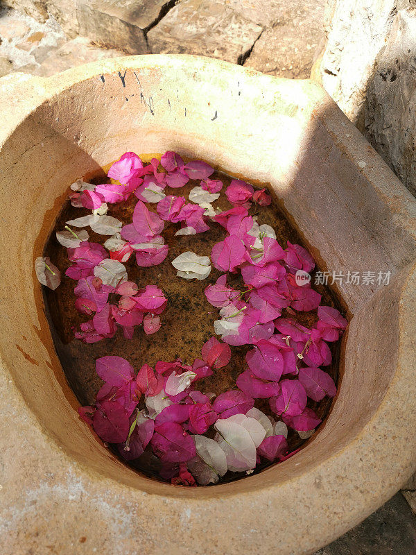 花瓣浴