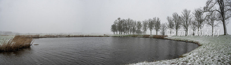 一个寒冷的下午，一场暴风雪中的冬季乡村景观