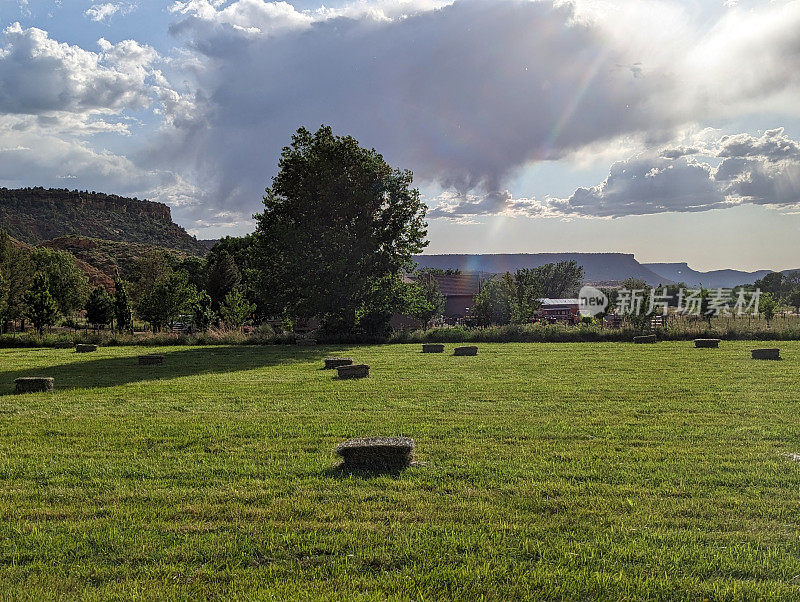 2023年春末，犹他州罗克维尔牧场的第一批干草作物打成捆