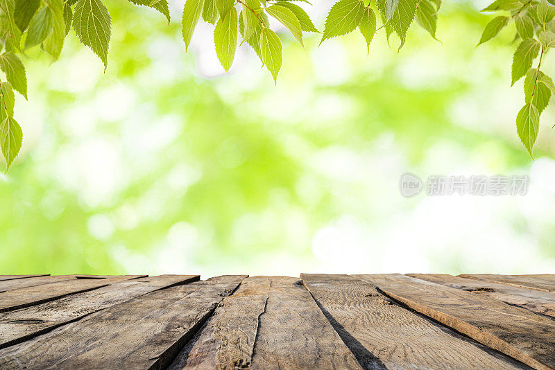 空木桌与散焦树叶的背景