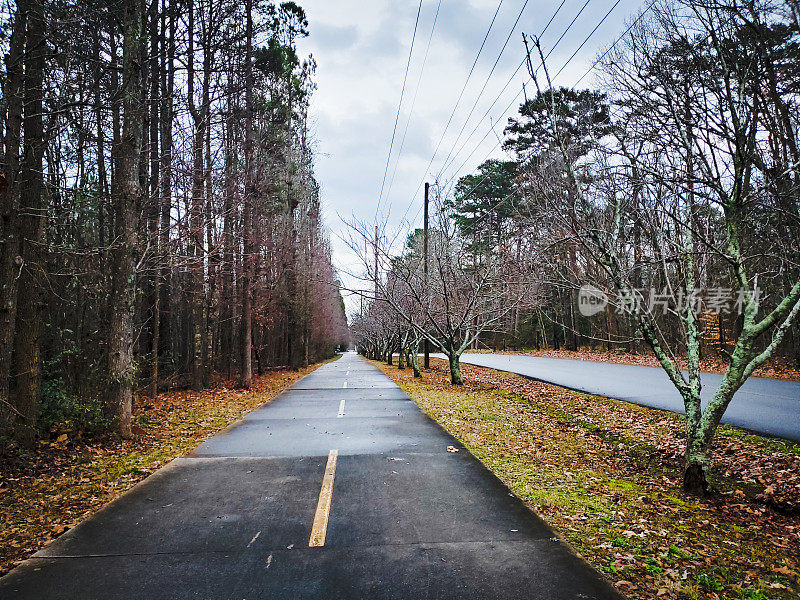 这条小路是佐治亚州亚特兰大冬日里一条铺好的步道