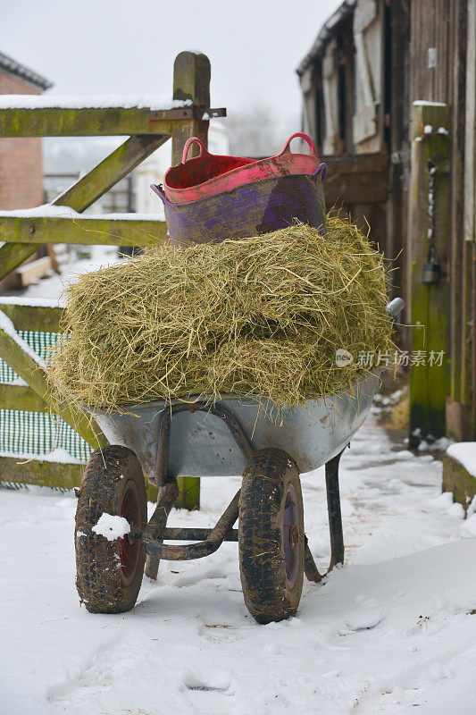 在什罗普郡乡下一个寒冷的雪天里，农场里的喂食时间，手推车上装满了干草和一桶桶的饲料，准备被推到饲料场喂马。