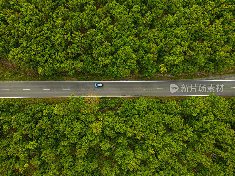 鸟瞰郊区树木之间的道路