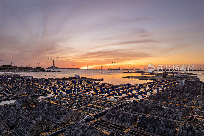 夕阳下漂浮在海上的水产养殖场