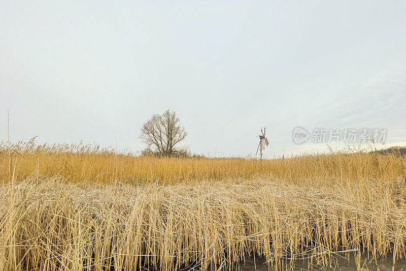 美丽的冬日里，Wieden的冬季景观